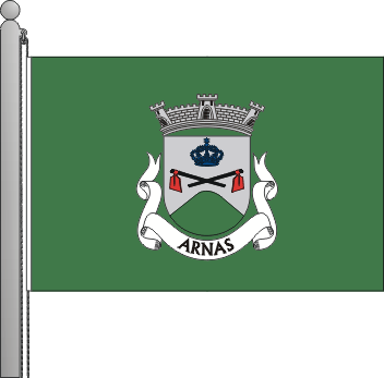 Bandeira da freguesia de Arnas