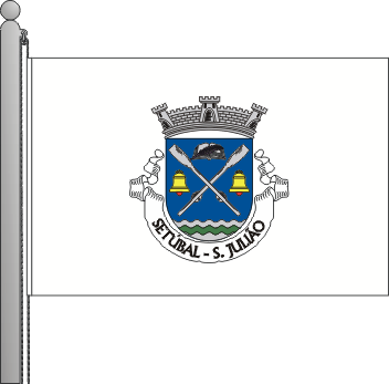 Bandeira da freguesia de So Julio