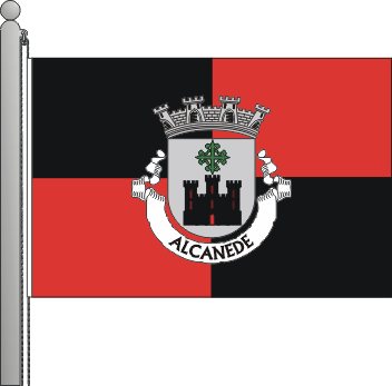 Bandeira da freguesia de Alcanede