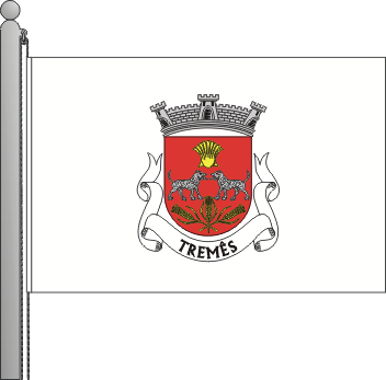 Bandeira da freguesia de Trems