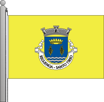 Bandeira da freguesia de Reguenga