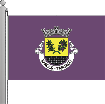 Bandeira da freguesia de Barcos