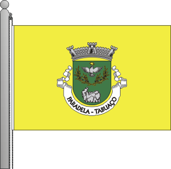 Bandeira da freguesia de Paradela