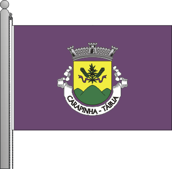 Bandeira da freguesia de Carapinha