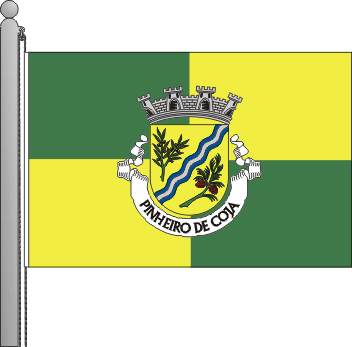 Bandeira da freguesia de Pinheiro de Coja