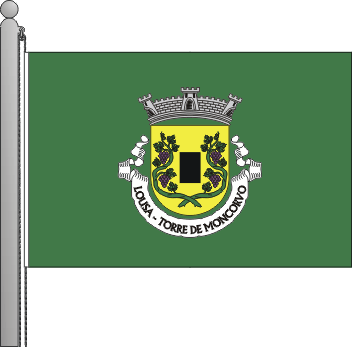 Bandeira da freguesia de Lousa