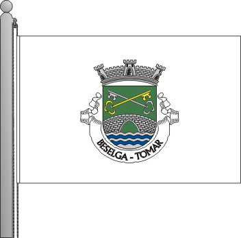 Bandeira da freguesia de Beselga