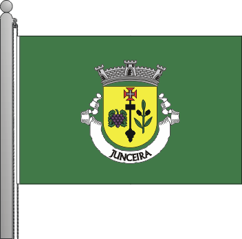 Bandeira da freguesia de Junceira