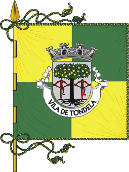 Estandarte do município de Tondela