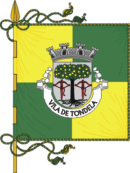 Estandarte do municpio de Tondela