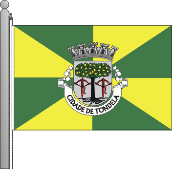 Bandeira do municpio de Tondela