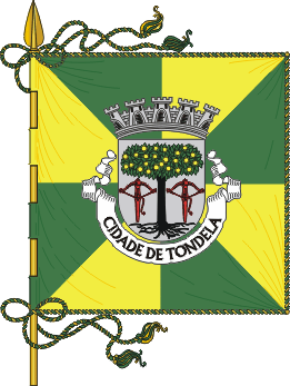 Estandarte do município de Tondela