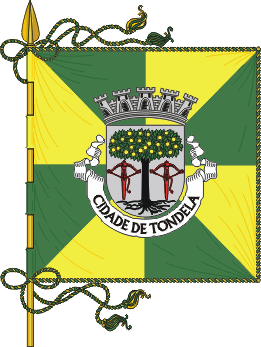 Estandarte do municpio de Tondela