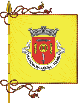 Estandarte da freguesia de Vila Nova da Ranha