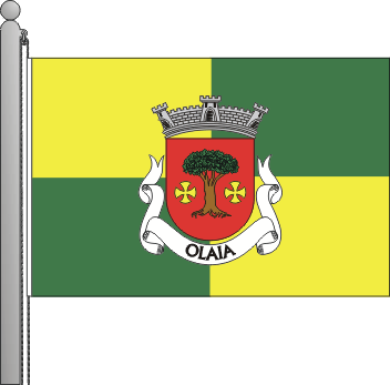 Bandeira da freguesia de Olaia