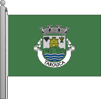 Bandeira do municpio de Tarouca