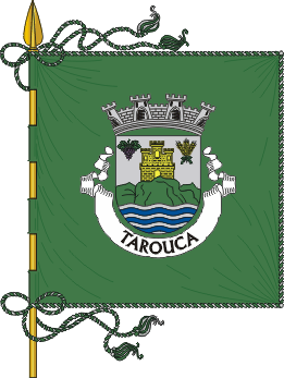 Estandarte do municpio de Tarouca