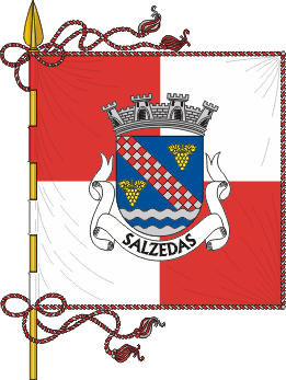 Estandarte da freguesia de Salzedas