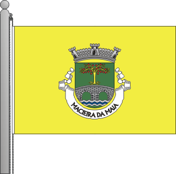Bandeira da freguesia de Macieira da Maia