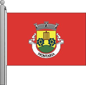 Bandeira da freguesia de Montaria