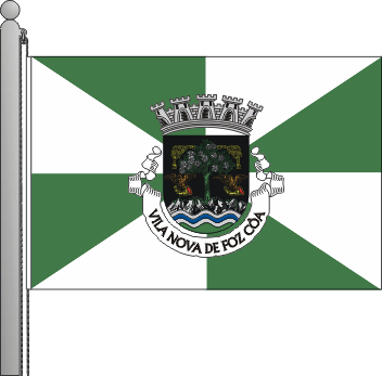 Bandeira do municpio de Vila Nova de Foz Ca