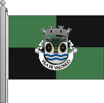 Bandeira do município de Valongo