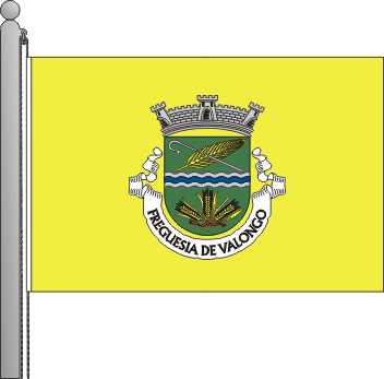 Bandeira da freguesia de Valongo