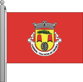 Bandeira da freguesia de Candemil