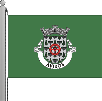 Bandeira da freguesia de Avidos