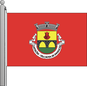 Bandeira da freguesia de Castelões