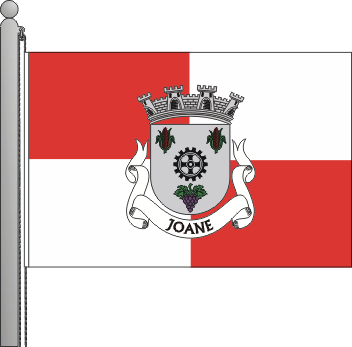 Bandeira da freguesia de Joane