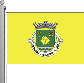 Bandeira da freguesia da Madalena