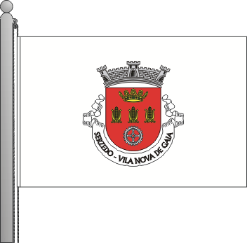 Bandeira da freguesia de Serzedo
