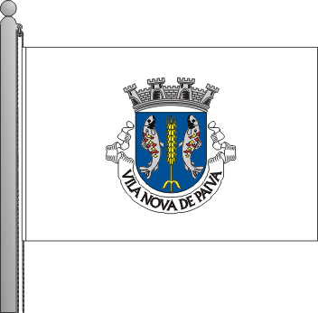 Bandeira do Municpio de Vila Nova de Paiva
