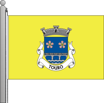 Bandeira da freguesia de Touro