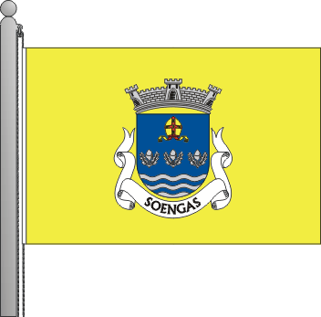 Bandeira da freguesia de Soengas