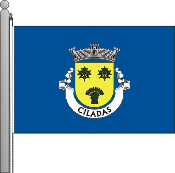 Bandeira da freguesia de Ciladas