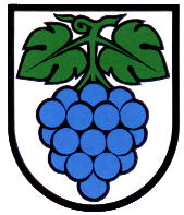 Wappen von Wynau/Arms (crest) of Wynau
