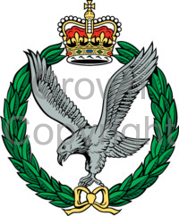 British Army Gemelos en Caja Army Air Corps 
