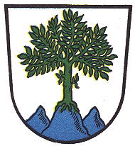Wappen von Aschau im Chiemgau / Arms of Aschau im Chiemgau