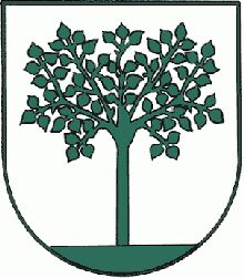 Wappen von Birkfeld / Arms of Birkfeld