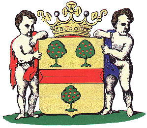 Wapen van 's Gravendeel/Arms (crest) of 's Gravendeel