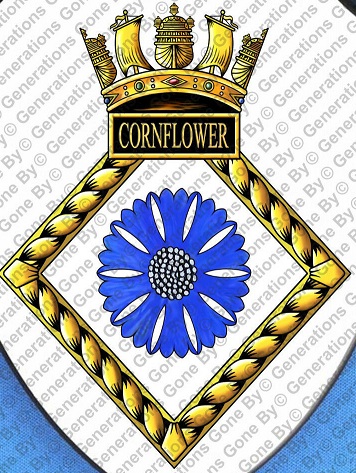 File:HMS Cornflower, Royal Navy.jpg