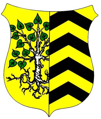 Wappen von Nauheim (Hünfelden) / Arms of Nauheim (Hünfelden)