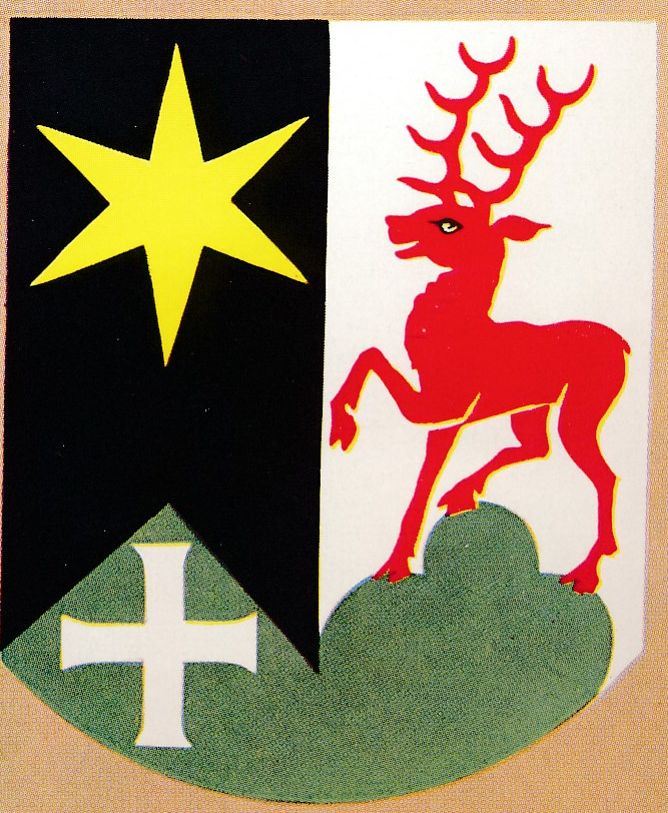 Coat of arms (crest) of Oberegg