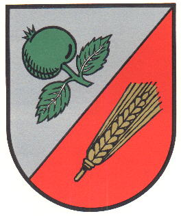 Wappen von Appeln / Arms of Appeln