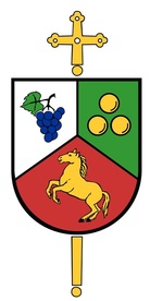 Arms (crest) of Diocese of Novo Mesto