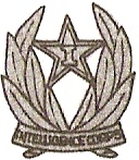 File:Indian Intelligence Corps, Indian Army.jpg