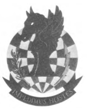 File:423rd Bombardment Squadron, US Air Force.jpg