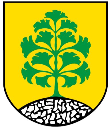 Wappen von Schwerz/Arms of Schwerz